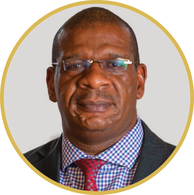 N. Ncube